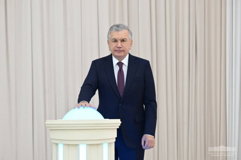 Three companies have been launched, and the construction of twelve has begun