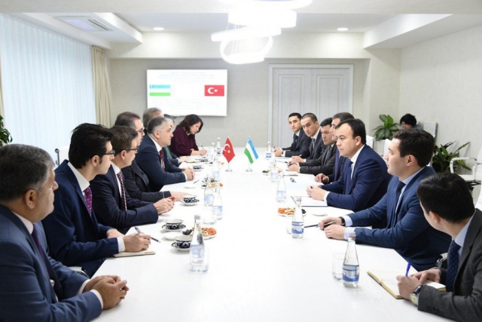 Developing Uzbek-Turkish cooperation in the sphere of energy resources