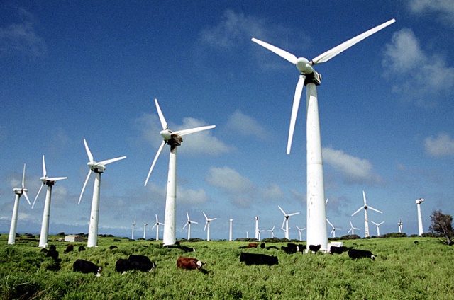 Wind power generation to be built in Baysun